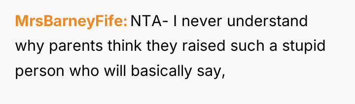 MrsBarneyFife NTA- I never understand why parents think they raised...