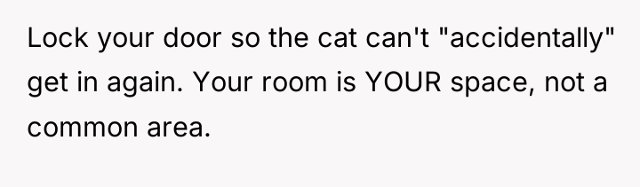 Lock your door so the cat can't "accidentally" get in...