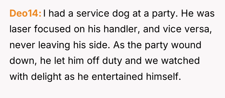 Deo14 I had a service dog at a party. He...