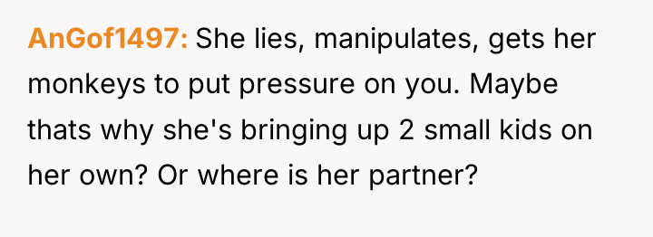 AnGof1497 She lies, manipulates, gets her monkeys to put pressure...