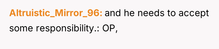 Altruistic_Mirror_96 and he needs to accept some responsibility.: OP,