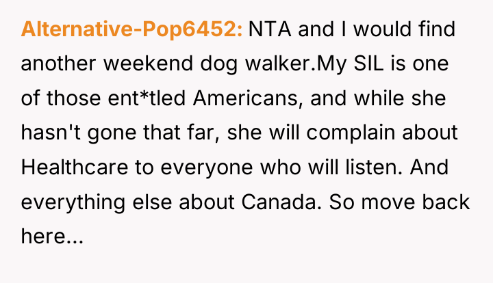 Alternative-Pop6452 NTA and I would find another weekend dog walker.My...