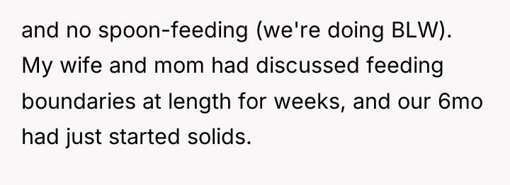 and no spoon-feeding (we're doing BLW). My wife and mom...