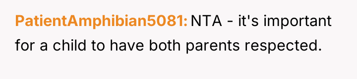 PatientAmphibian5081 NTA - it's important for a child to have...