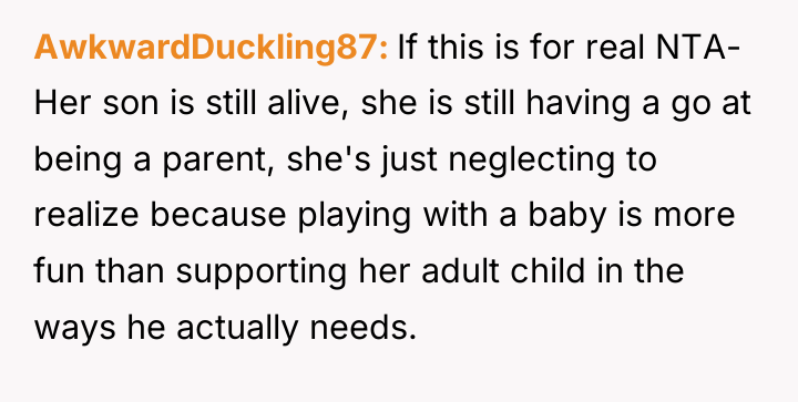 AwkwardDuckling87 If this is for real NTA- Her son is...