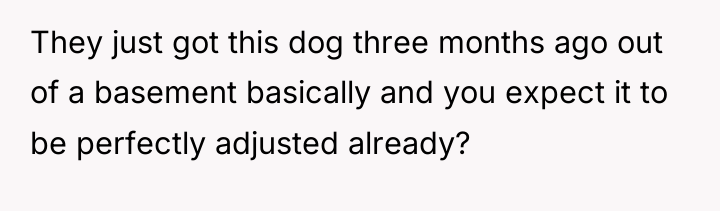 They just got this dog three months ago out of...