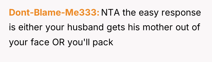 Dont-Blame-Me333 NTA the easy response is either your husband gets...