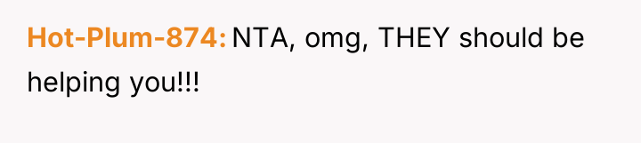 Hot-Plum-874 NTA, omg, THEY should be helping you!!!