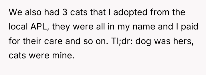 We also had 3 cats that I adopted from the...