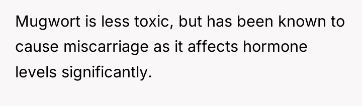Mugwort is less toxic, but has been known to cause...