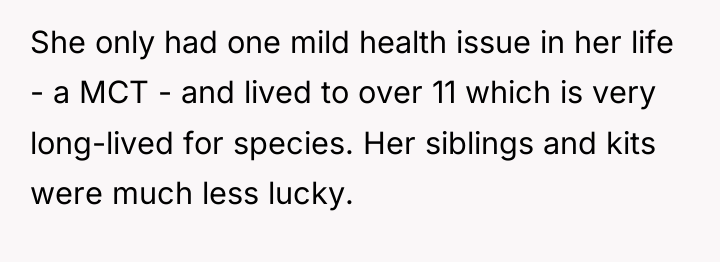 She only had one mild health issue in her life...