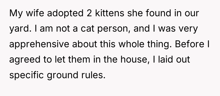 My wife adopted 2 kittens she found in our yard....