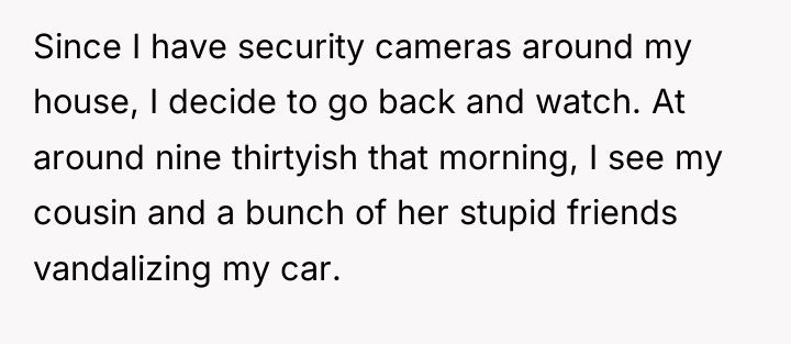 Since I have security cameras around my house, I decide...
