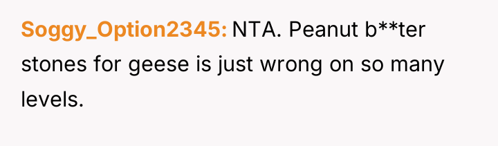 Soggy_Option2345 NTA. Peanut b**ter stones for geese is just wrong...