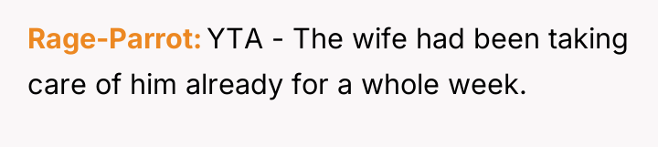 Rage-Parrot YTA - The wife had been taking care of...