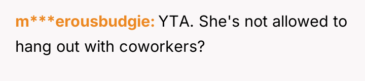 m***erousbudgie YTA. She's not allowed to hang out with coworkers?