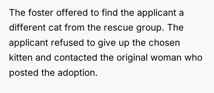 The foster offered to find the applicant a different cat...