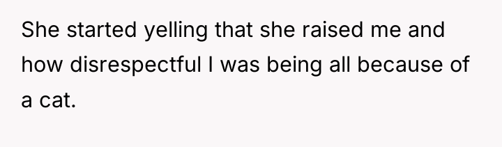 She started yelling that she raised me and how disrespectful...