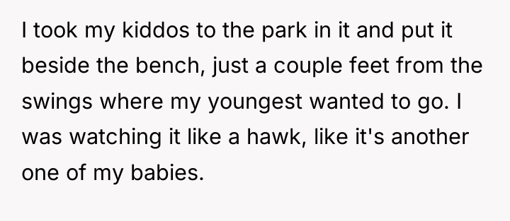 I took my kiddos to the park in it and...