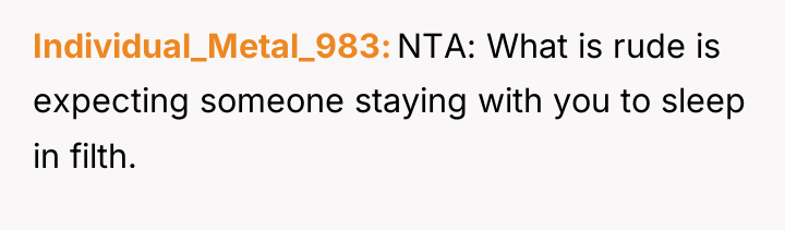 Individual_Metal_983 NTA: What is rude is expecting someone staying with...