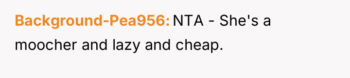 Background-Pea956 NTA - She's a moocher and lazy and cheap.