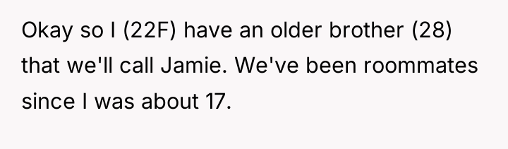 Okay so I (22F) have an older brother (28) that...