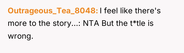 Outrageous_Tea_8048 I feel like there's more to the story...: NTA...