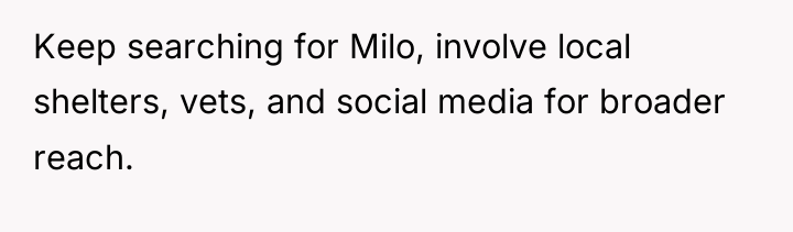 Keep searching for Milo, involve local shelters, vets, and social...