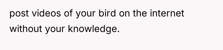 post videos of your bird on the internet without your...