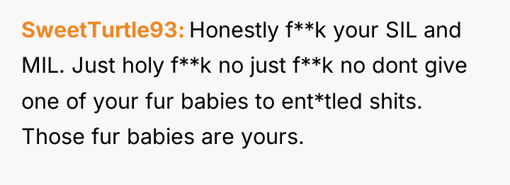 SweetTurtle93 Honestly f**k your SIL and MIL. Just holy f**k...
