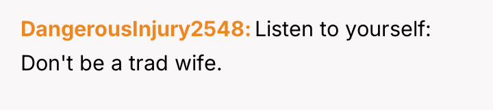 DangerousInjury2548 Listen to yourself: Don't be a trad wife.