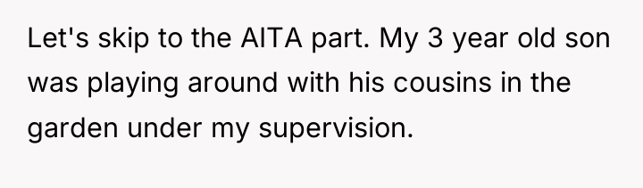 Let's skip to the AITA part. My 3 year old...