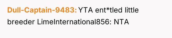 Dull-Captain-9483 YTA ent*tled little breeder LimeInternational856: NTA