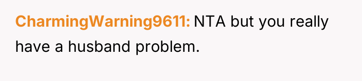 CharmingWarning9611 NTA but you really have a husband problem.