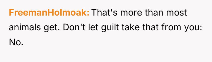 FreemanHolmoak That's more than most animals get. Don't let guilt...