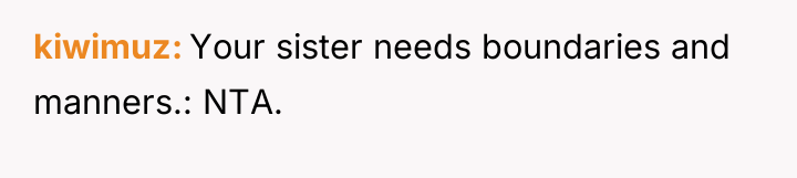 kiwimuz Your sister needs boundaries and manners.: NTA.