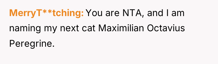 MerryT**tching You are NTA, and I am naming my next...