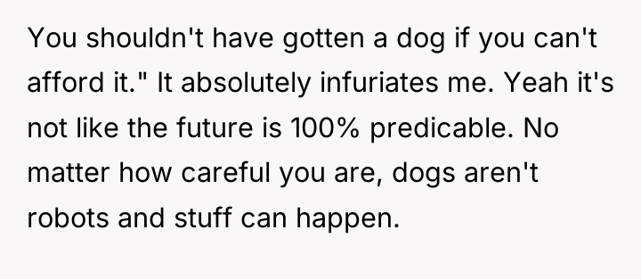 You shouldn't have gotten a dog if you can't afford...