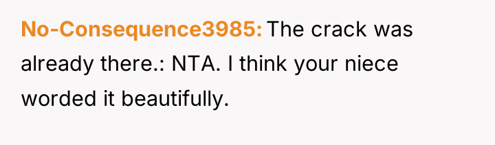 No-Consequence3985 The crack was already there.: NTA. I think your...