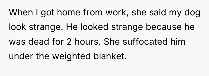 When I got home from work, she said my dog...