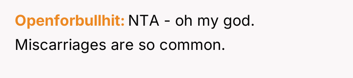 Openforbullhit NTA - oh my god. Miscarriages are so common.
