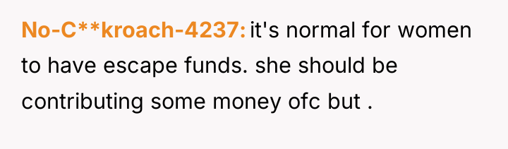 No-C**kroach-4237 it's normal for women to have escape funds. she...