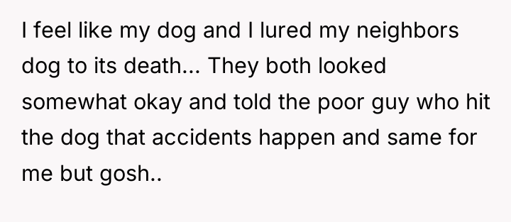 I feel like my dog and I lured my neighbors...