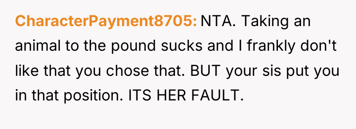 CharacterPayment8705 NTA. Taking an animal to the pound sucks and...