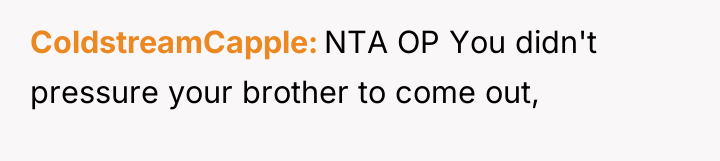 ColdstreamCapple NTA OP You didn't pressure your brother to come...