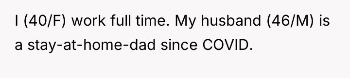 I (40/F) work full time. My husband (46/M) is a...