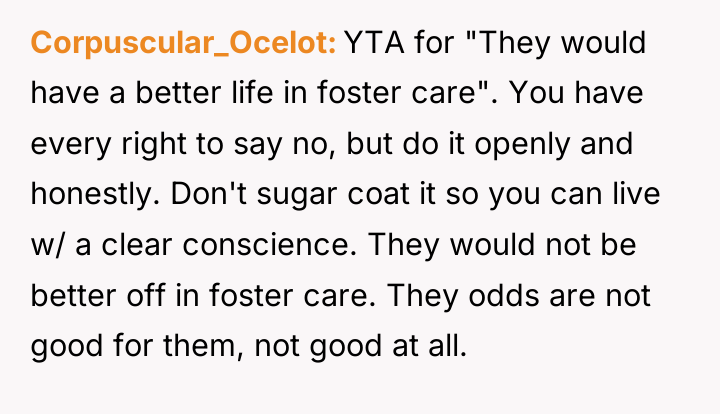 Corpuscular_Ocelot YTA for "They would have a better life in...