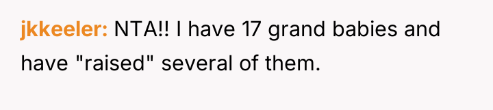 jkkeeler NTA!! I have 17 grand babies and have "raised"...