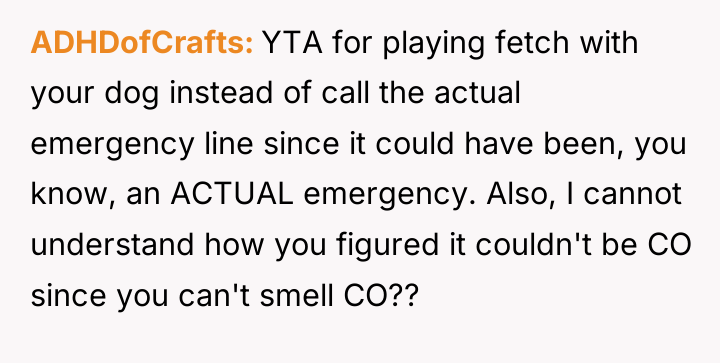ADHDofCrafts YTA for playing fetch with your dog instead of...