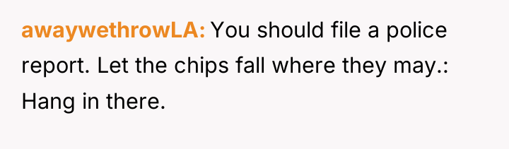 awaywethrowLA You should file a police report. Let the chips...